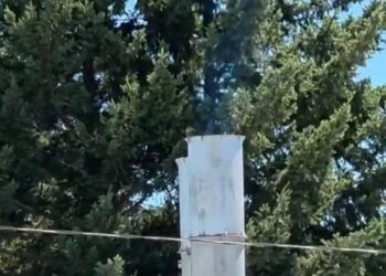 Nueva Emergencia Ambiental en Talca: Residentes exigen cierre permanente del crematorio tras detectar emisiones de humo este martes.