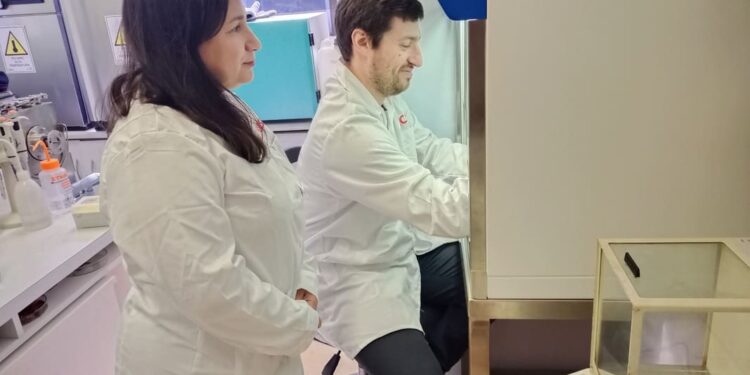 UCSC potencia la investigación en biopolímeros microbianos que benefician la salud y el medio ambiente.