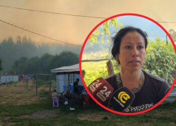 Vecinos de Mulchén se sienten amenazados por posibles incendios forestales: «Estamos angustiados, no queremos perder nuestros hogares.»