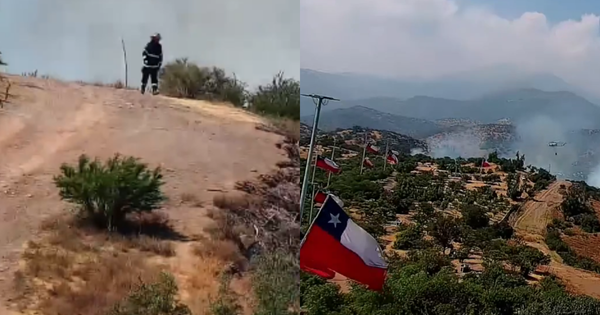 Incendio forestal en Lo Barnechea: brigadas de emergencia logran controlar el fuego tras una jornada intensa.