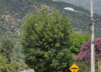 Residentes de Casas de Peuco aprecian la mejora del alumbrado público implementada por el municipio.