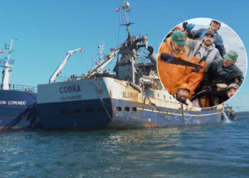 Caso Bruma: Armada de Chile confirma que los tripulantes del Cobra no siguieron el protocolo de rescate.