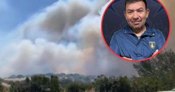 Falleció el comandante de Bomberos de Litueche mientras luchaba contra un incendio forestal.