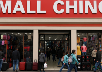 SERNAC controla los malls chinos en todo Chile previo a la Navidad.