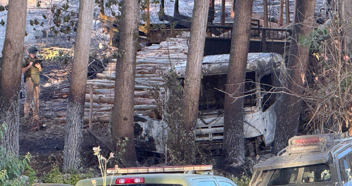 Encapuchados incendiaron tres camiones en un terreno forestal de Nueva Imperial, sin dejar pancartas que reivindicaran el ataque.