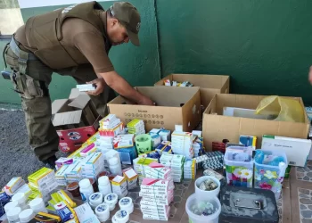 Cuatro personas arrestadas y cinco vehículos incautados en operativo contra el comercio ilegal en Curicó.