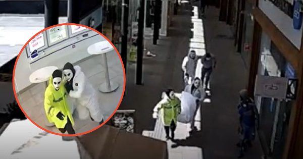 [CHICUREO] PDI agarra a miembro de banda delictual relacionada con violento robo en Piedra Roja en 2022.