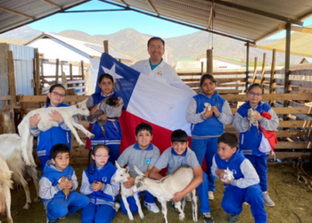 «Yo no gané, ganó la unidocencia»: la historia del profe chileno que hoy está entre los 50 mejores del mundo.