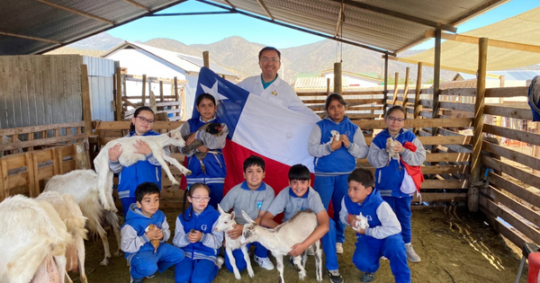 «Yo no gané, ganó la unidocencia»: la historia del profe chileno que hoy está entre los 50 mejores del mundo.