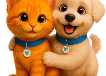 Nueva iniciativa para el bienestar total de perros y gatos en Chile.