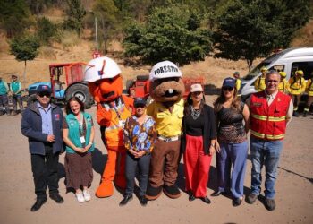 Gobierno lanza plan histórico de casi 5.000 km de cortafuegos