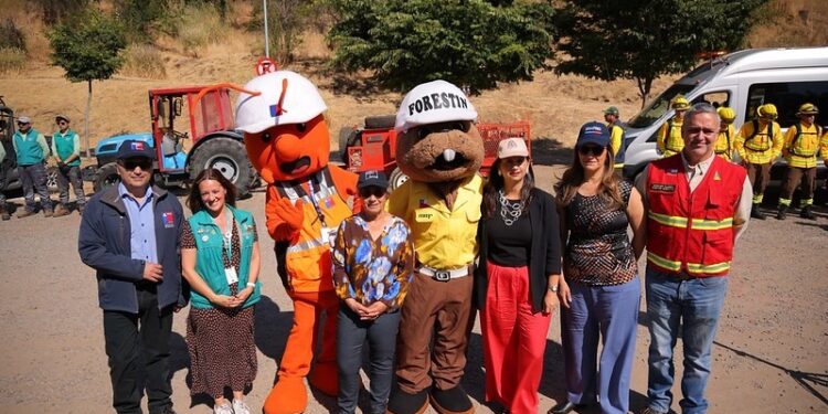 Gobierno lanza plan histórico de casi 5.000 km de cortafuegos