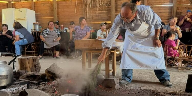 Proyecto revive recetas y recuerdos de la cocina indígena del Maule.