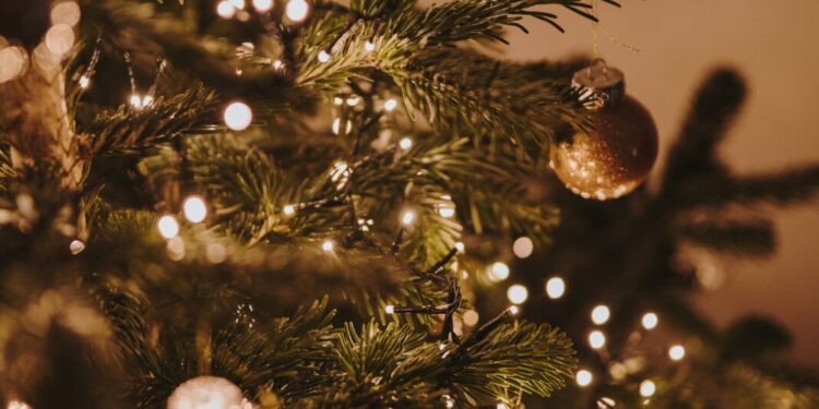 San Bernardo iluminará su Árbol de Navidad y promete un diciembre lleno de amor y paz.