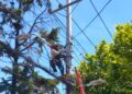 San Bernardo: CGE reporta 34 robos de cables eléctricos en el centro en los últimos tres meses.