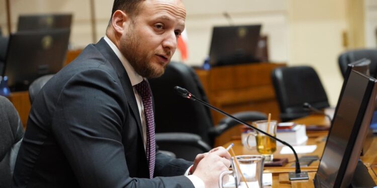 Programa Más AMA garantiza su continuidad en 2026 gracias a las gestiones del diputado Jorge Guzmán en el Congreso.