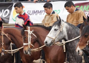 Este fin de semana, Pirque acogerá el Rodeo Clasificatorio Escolar Centro Norte.