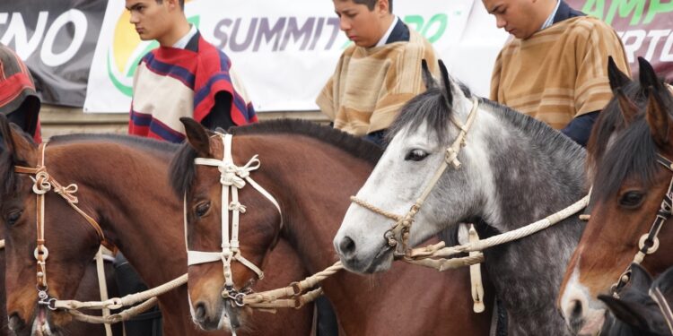 Este fin de semana, Pirque acogerá el Rodeo Clasificatorio Escolar Centro Norte.