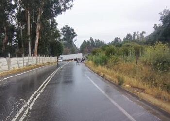 Trágico accidente en la ruta entre Quilpué y Villa Alemana causa una víctima fatal.