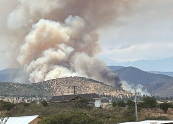 SENAPRED emite orden de evacuación para el sector La Foresta en Zapallar debido a un incendio forestal.