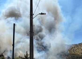 Alerta en la Región de Valparaíso: Incendio fuera de control en Catemu consume 4 viviendas.