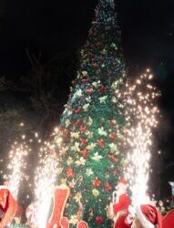 La Navidad comenzó con el encendido de luces y un concierto en la Plaza de los Héroes.