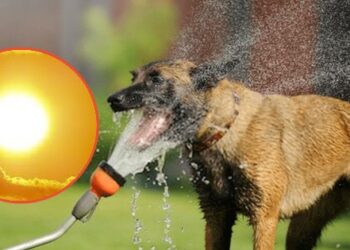 Aumento fuerte de temperaturas golpeará la zona central del país.