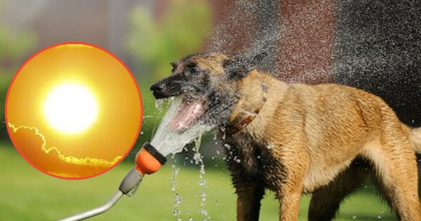 Aumento fuerte de temperaturas golpeará la zona central del país.