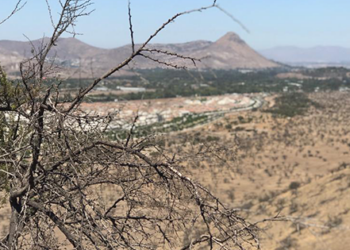 ¡Alerta Roja por calor extremo en la RM! Las temperaturas subirán hasta los 36°C.