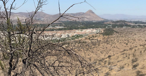 ¡Alerta Roja por calor extremo en la RM! Las temperaturas subirán hasta los 36°C.