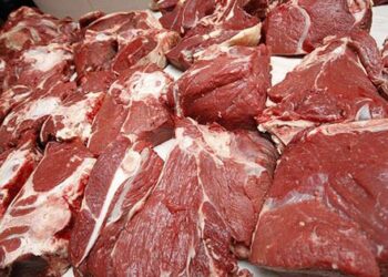 Días calurosos: tips clave para prevenir problemas de salud al manejar carnes