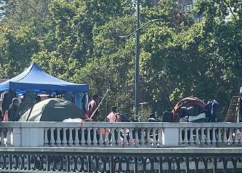 CNC solicita que el comercio ambulante sea agregado al Rol Único de Vándalos.