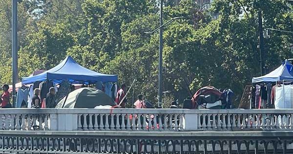 CNC solicita que el comercio ambulante sea agregado al Rol Único de Vándalos.