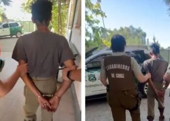 Cacharon a un tipo tratando de iniciar un incendio forestal en el Maule.