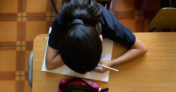 Matrículas escolares 2025: fechas, requisitos y pasos esenciales para apoderados.