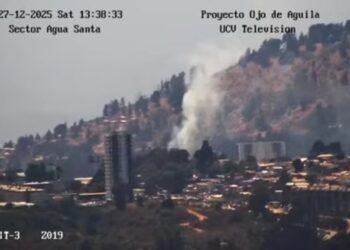 Viña del Mar: Controlan incendio forestal en la Rotonda de Santa Julia con la ayuda de Bomberos y Conaf.