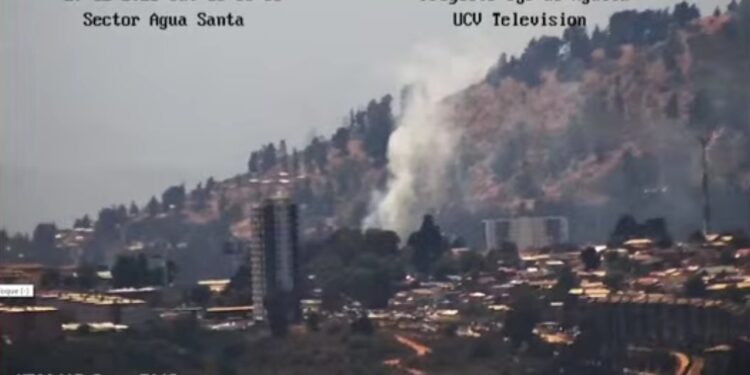 Viña del Mar: Controlan incendio forestal en la Rotonda de Santa Julia con la ayuda de Bomberos y Conaf.