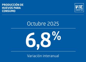 Producción de huevos en Chile sube un 6,8% en comparación al año pasado.