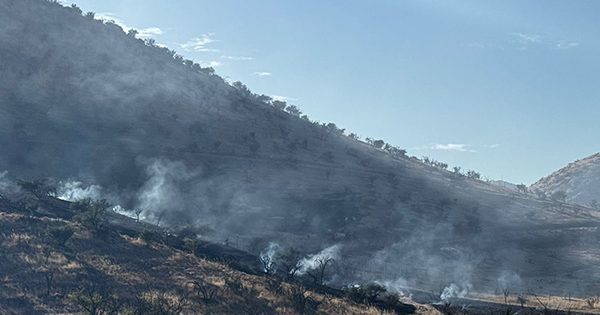 Sujeto fue atrapado luego de iniciar un incendio y herir a un carabinero en Chicureo.