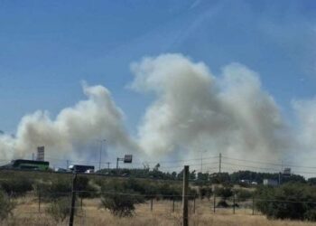 Se registra un gran incendio de pastizales en el camino Noviciado.