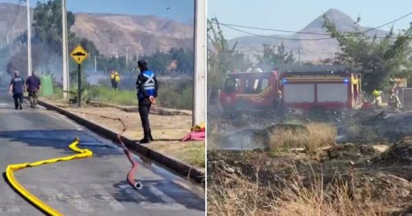 Incendio arrasa con casi dos hectáreas de pastizales en Colina.