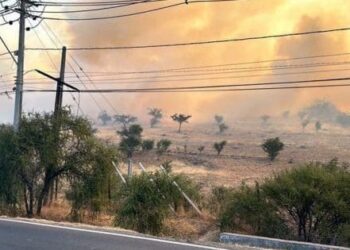 SENAPRED activa Alerta Temprana Preventiva por peligro de incendios forestales en la RM.