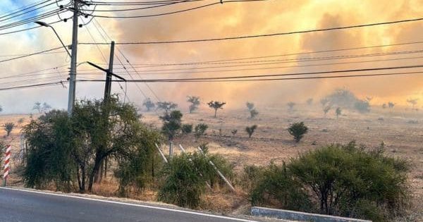 SENAPRED activa Alerta Temprana Preventiva por peligro de incendios forestales en la RM.