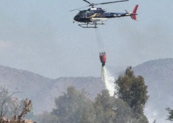 Arresto domiciliario para el que causó el incendio forestal en San Pedro de Melipilla.