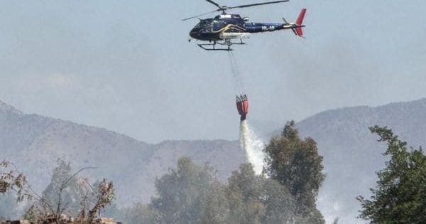 Arresto domiciliario para el que causó el incendio forestal en San Pedro de Melipilla.