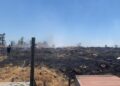 Bomberos apagaron un incendio forestal gigante en Lampa.