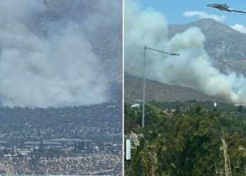 Emergencia por incendio forestal en la ladera del cerro San Carlos de Apoquindo.