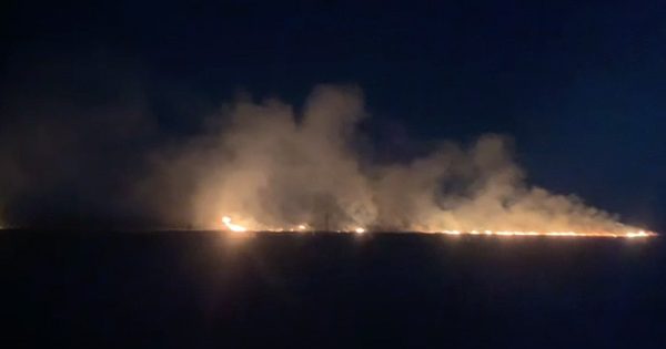 Incendio forestal activa a equipos de emergencia en Lampa.