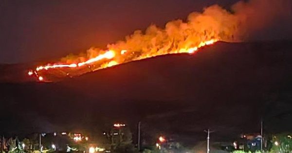 Bomberos de Colina – Lampa enfrentaron incendio forestal en plena Nochebuena.