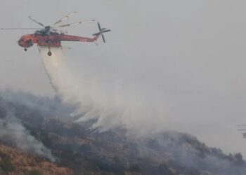 Incendios forestales activos siguen avanzando y tienen al país en alerta.